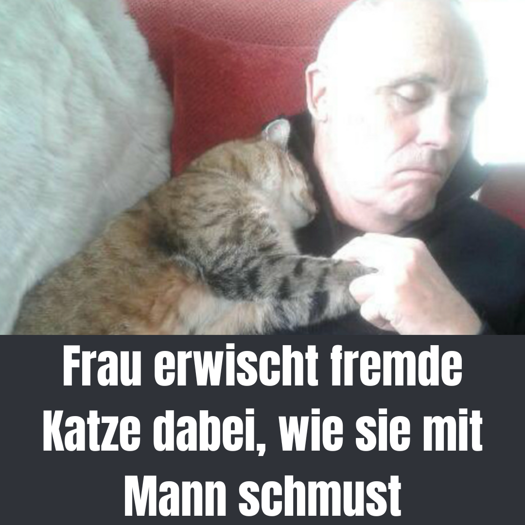 Frau erwischt fremde Katze dabei, wie sie mit Mann schmust.