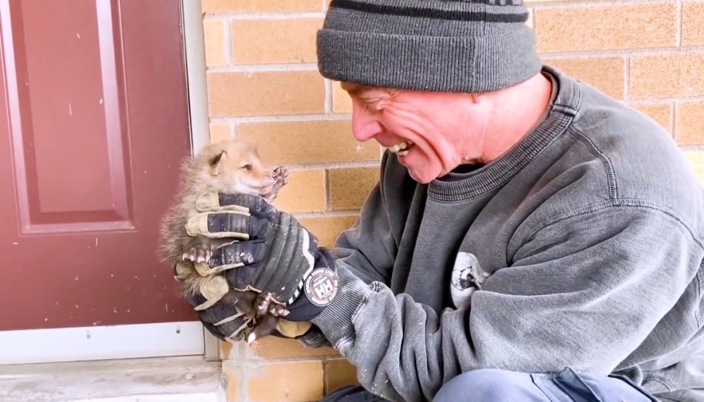 Tierretter Brad Gates hält Fuchs-Baby in den Händen.