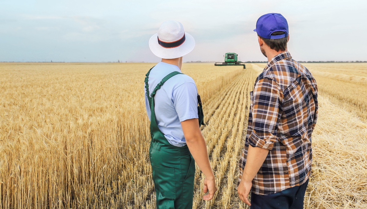 Zwei Bauern unterhalten sich auf einem Weizenfeld.