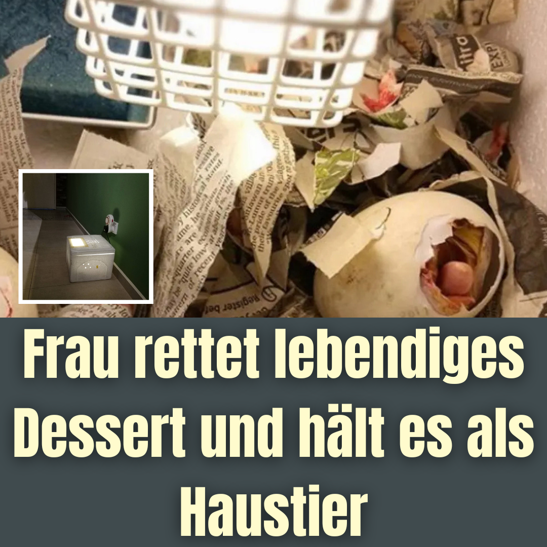 Malaysierin brütet Entenei aus und hält es als Haustier