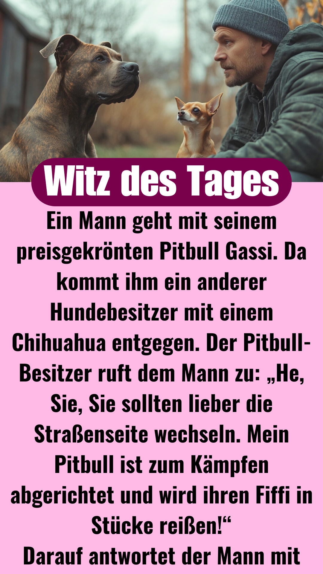 Witz des Tages: Pitbull kämpft gegen Chihuahua